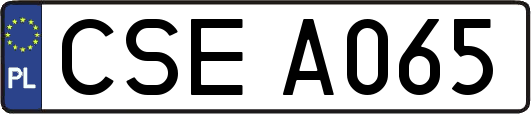 CSEA065