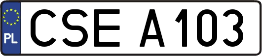 CSEA103
