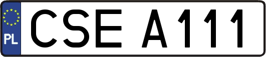 CSEA111