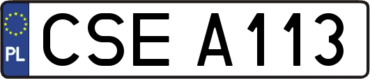 CSEA113