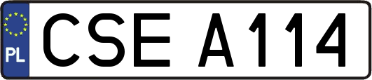 CSEA114