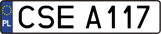 CSEA117