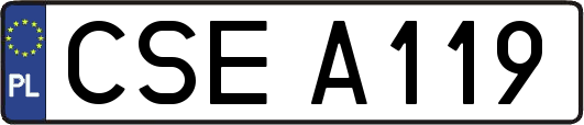 CSEA119