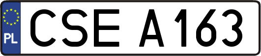 CSEA163