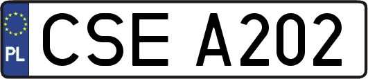CSEA202