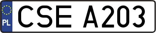 CSEA203