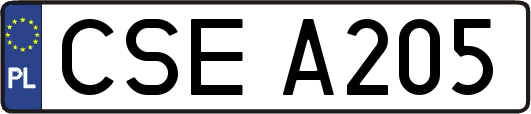 CSEA205