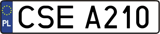 CSEA210