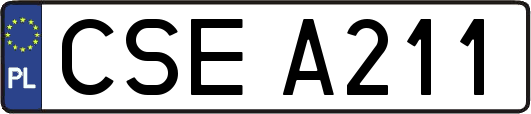 CSEA211