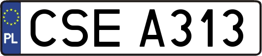 CSEA313