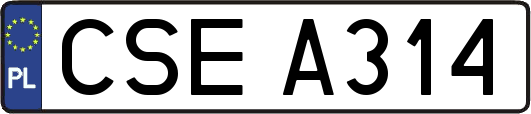 CSEA314