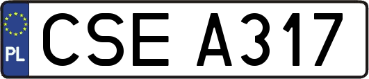 CSEA317