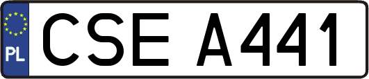 CSEA441