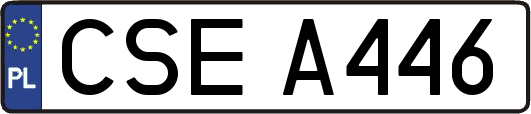 CSEA446