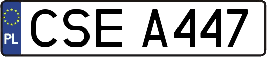 CSEA447