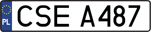 CSEA487