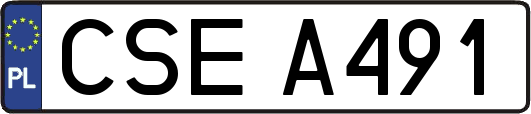 CSEA491