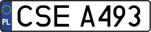 CSEA493