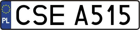 CSEA515