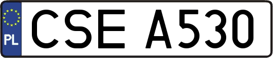 CSEA530