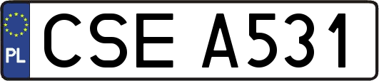 CSEA531