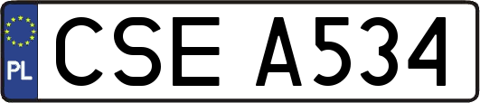 CSEA534