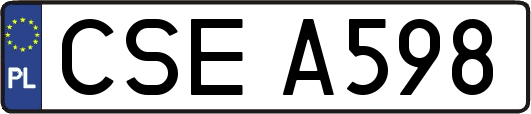 CSEA598