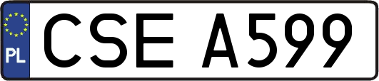 CSEA599