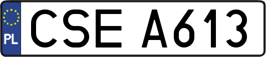 CSEA613