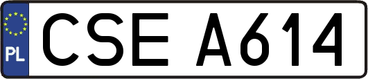 CSEA614