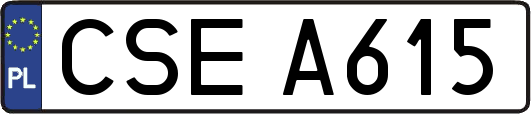 CSEA615