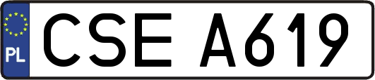 CSEA619