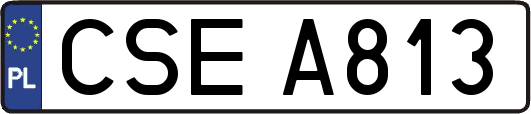CSEA813