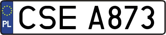 CSEA873