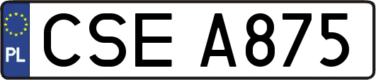 CSEA875