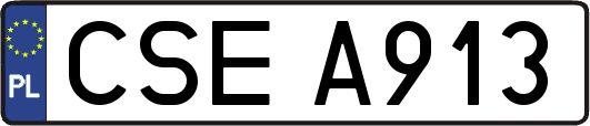 CSEA913