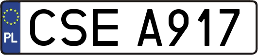 CSEA917