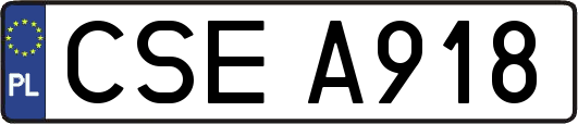CSEA918