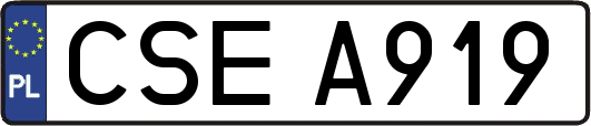 CSEA919