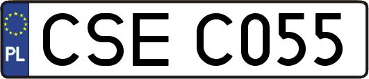 CSEC055