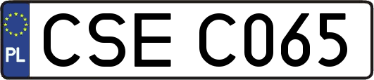 CSEC065
