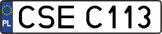 CSEC113