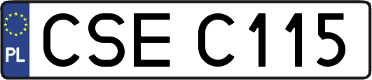 CSEC115