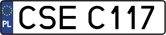 CSEC117