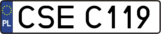 CSEC119