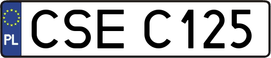 CSEC125