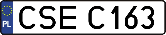 CSEC163