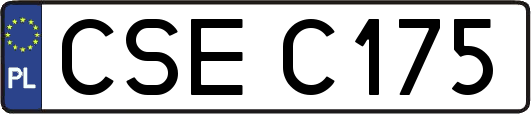 CSEC175
