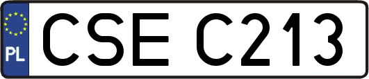 CSEC213