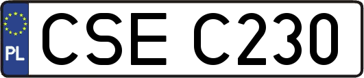 CSEC230